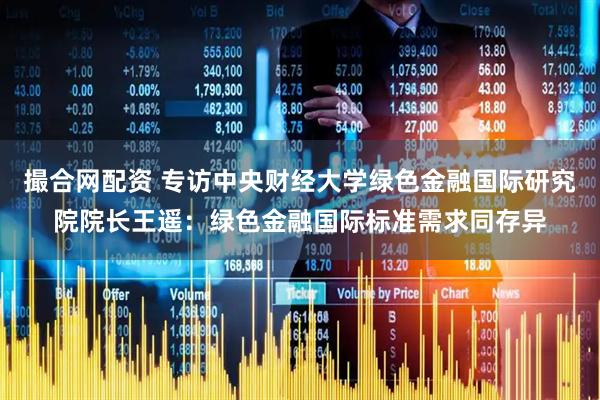 撮合网配资 专访中央财经大学绿色金融国际研究院院长王遥：绿色金融国际标准需求同存异