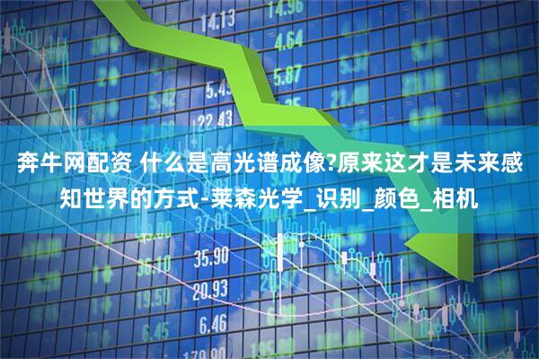 奔牛网配资 什么是高光谱成像?原来这才是未来感知世界的方式-莱森光学_识别_颜色_相机