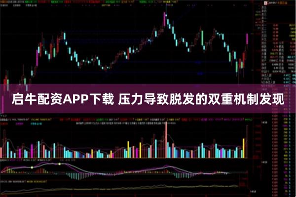 启牛配资APP下载 压力导致脱发的双重机制发现