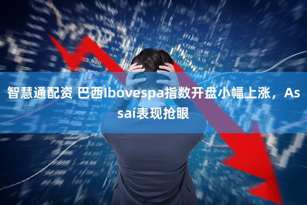 智慧通配资 巴西Ibovespa指数开盘小幅上涨，Assaí表现抢眼